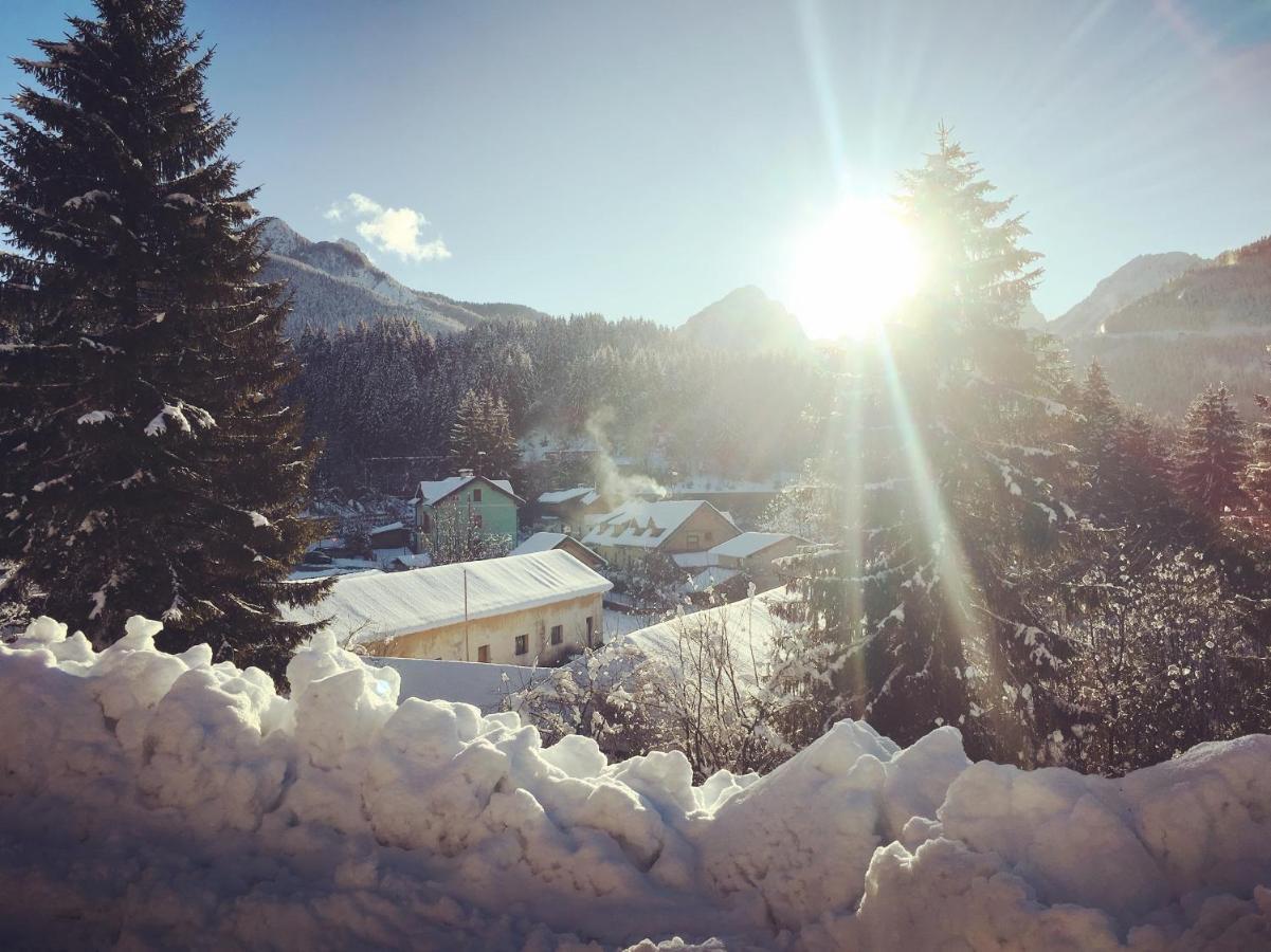 Greenwood Holiday Tarvisio Extérieur photo